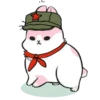 Machiko Rabbit 12