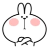 Spoiled Rabbit Best 21