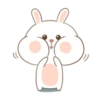 TUAGOM:PUFFY BEAR AND RABBIT 18