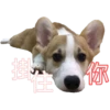 MANGO 17