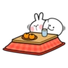 winter rabbit 20