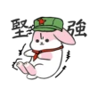 Machiko Rabbit 14