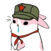 Machiko Rabbit 15
