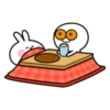 winter rabbit 22