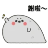 White 20