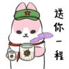 Machiko Rabbit 16
