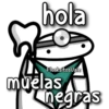 florksita bióloga ᥫ᭡ 20