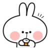 Spoiled Rabbit Best 24