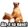 Видео мемы 23