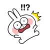 Spoiled Rabbit Best 28