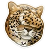WWF Animals 13