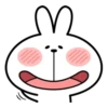 Spoiled Rabbit Best 30