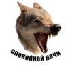 Wolf__chavez 20