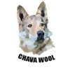 Wolf__chavez 22