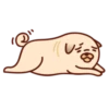 Sundae the Pug 5