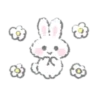 White Bunny 6