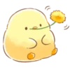 soft and cute chick 8