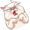 Pretty Cat 8