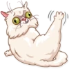 Pretty Cat 9