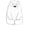 WBB - Ice Bear 5
