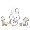 WhiteRab 8