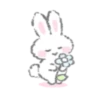 WhiteRab 11