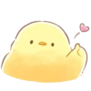 soft and cute chick 12