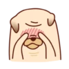 Sundae the Pug 15