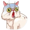 Pretty Cat 11