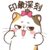 Money Cat 6