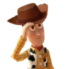 Woody for Wai!!3 10