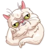 Pretty Cat 12
