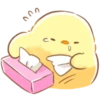 soft and cute chick 13