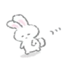 White Bunny 11