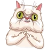 Pretty Cat 13