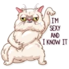 Pretty Cat 14
