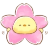 soft and cute chick 15