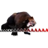 Wolverines 7