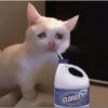 sad cats 18