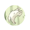 Cats warriors 9