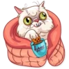 Pretty Cat 17