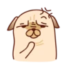 Sundae the Pug 22