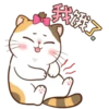 Money Cat 8