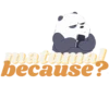 WE BARE BEARS 16