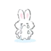 White Bunny 16