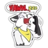 WhiteFox 8
