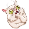 Pretty Cat 18