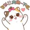 Money Cat 10
