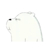 WBB - Ice Bear 18