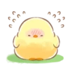 soft and cute chick 18